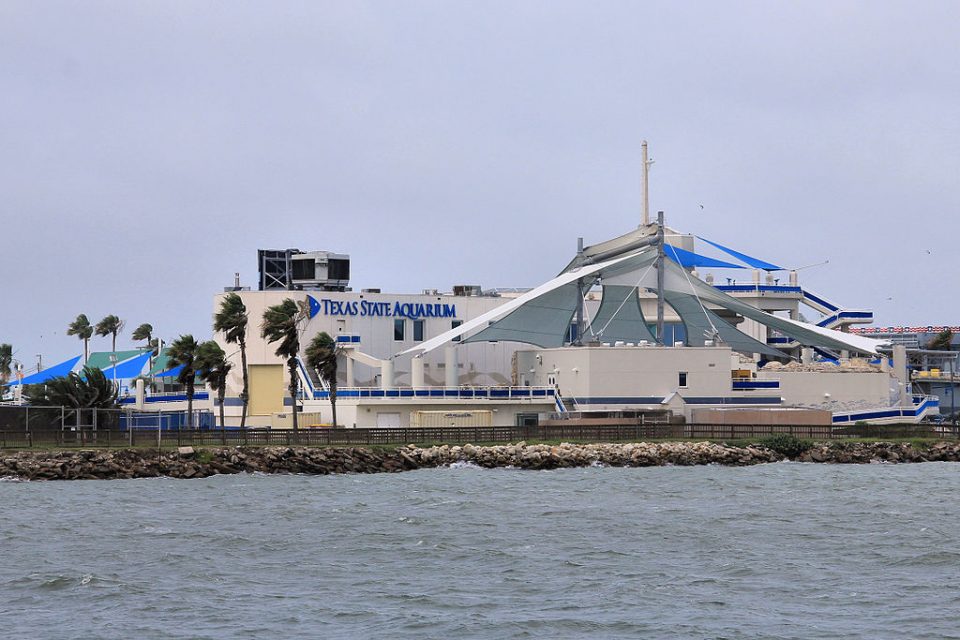 texas state aquarium