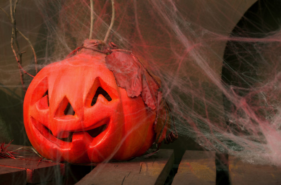 Pumpkin Halloween carved by Plastic Foam