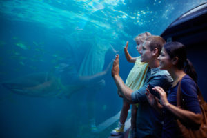 Shot of a young family enjoying a day at the aquarium