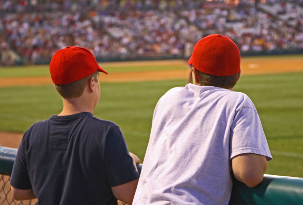 Young baseball fans